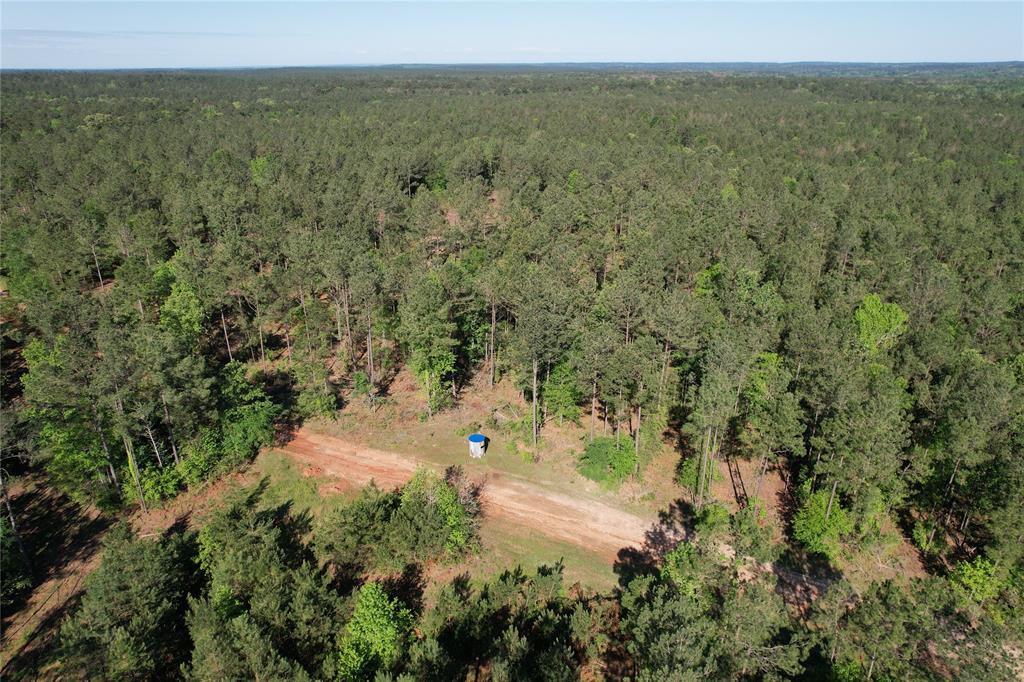 PRETTY TIMBER TRACT! Come see this 127-acre timber tract in the Latexo community! Whether you are looking for a hunting tract, investment, or both, look no further! Minutes from Crockett, this tract of land has large mature pines and a great road system for easy navigating. This property offers excellent hunting and the owner reports an abundance of whitetail deer. For your private showing, give us a call today! **ADDITIONAL ACREAGE AVAILABLE!**