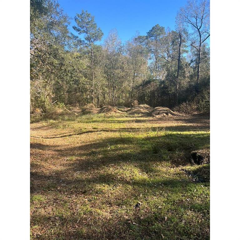 21043  Cottonwood Cove Lane Spring Texas 77380, Spring