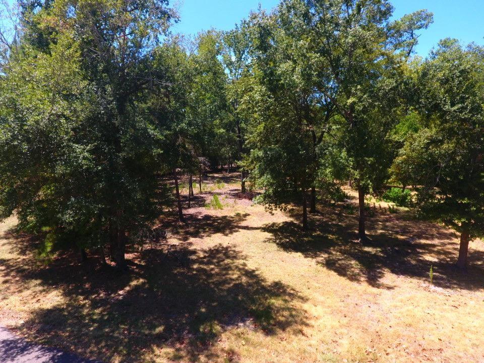 11490  Tamina Trail Conroe Texas 77384, Conroe