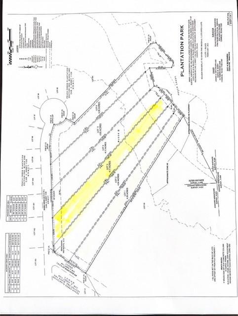 21406  Doru Drive  Cleveland Texas 77328, 19