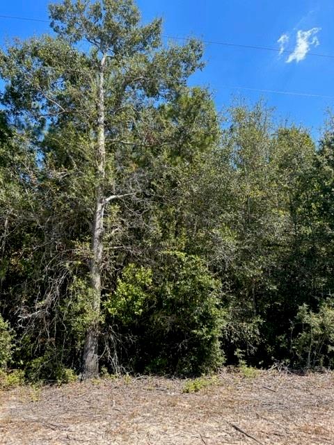 21610  Big Buck Drive  Cleveland Texas 77328, 19