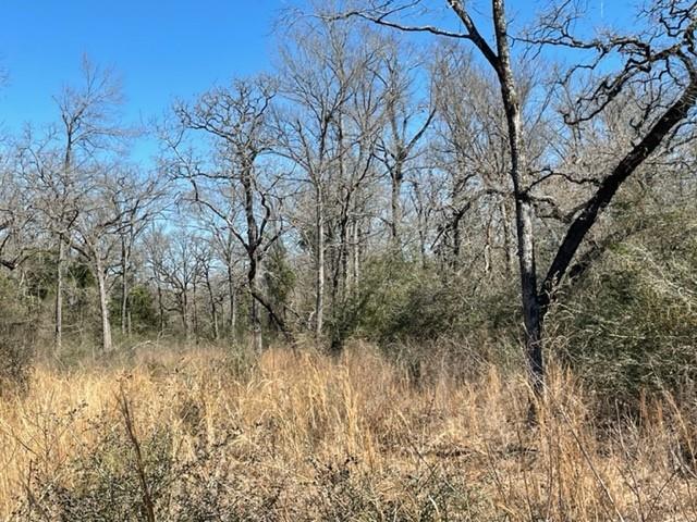 TBD County Road 317, Centerville, TX 75833