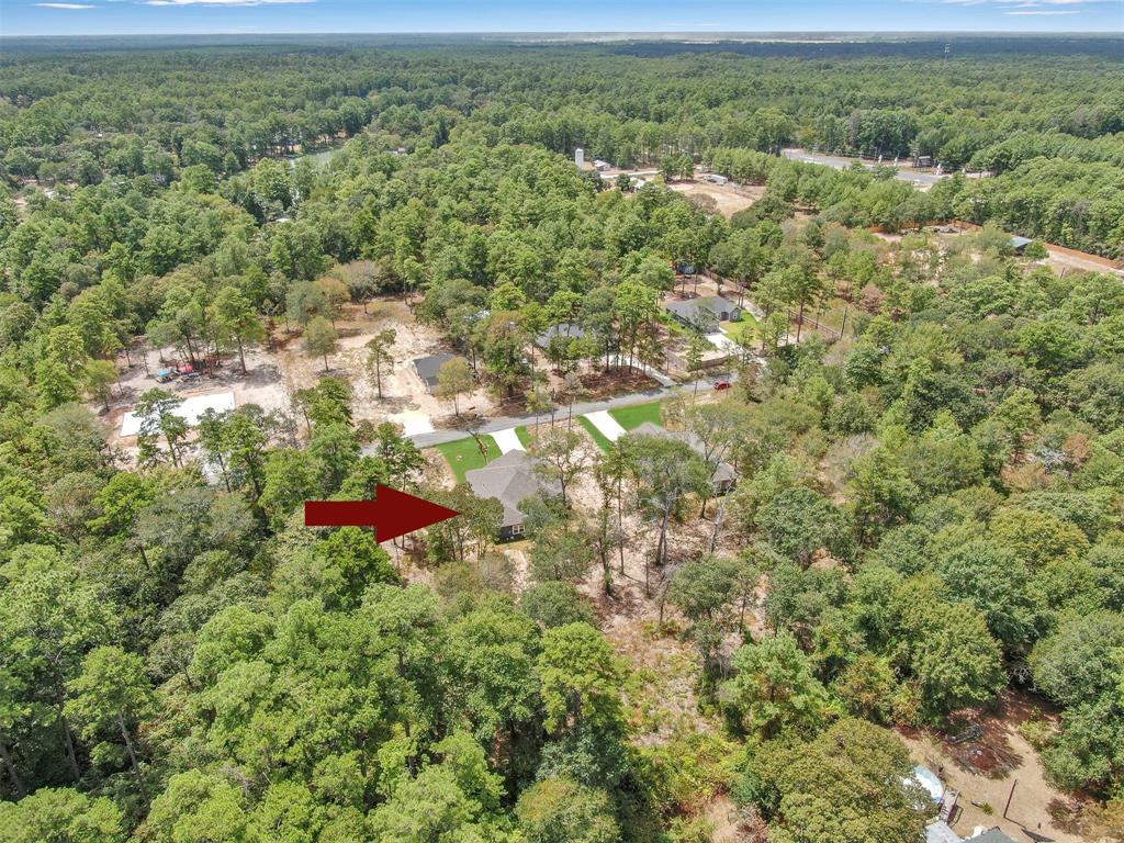 11113 Greenway Dr, Plantersville, TX 77363