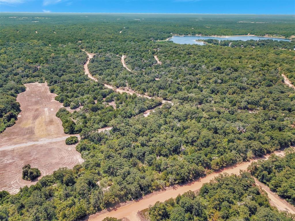 TBD Briar Patch  , Hilltop Lakes, Texas image 22