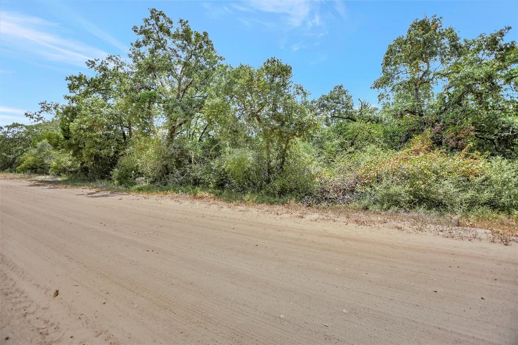 TBD Briar Patch  , Hilltop Lakes, Texas image 4