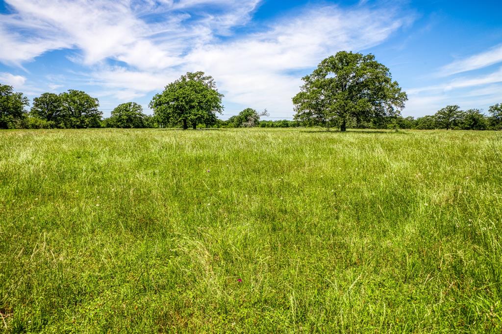 TBD (88 acres)  County Road 423  Somerville Texas 77879, 59