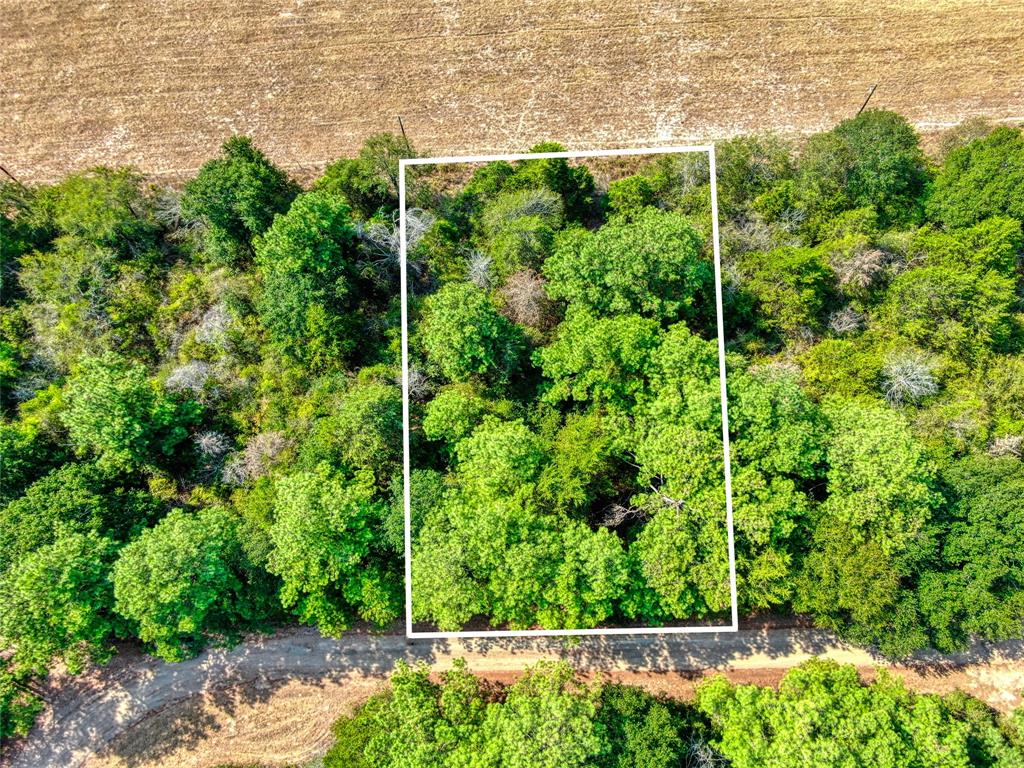 0  Quail Drive Waller Texas 77484, 26