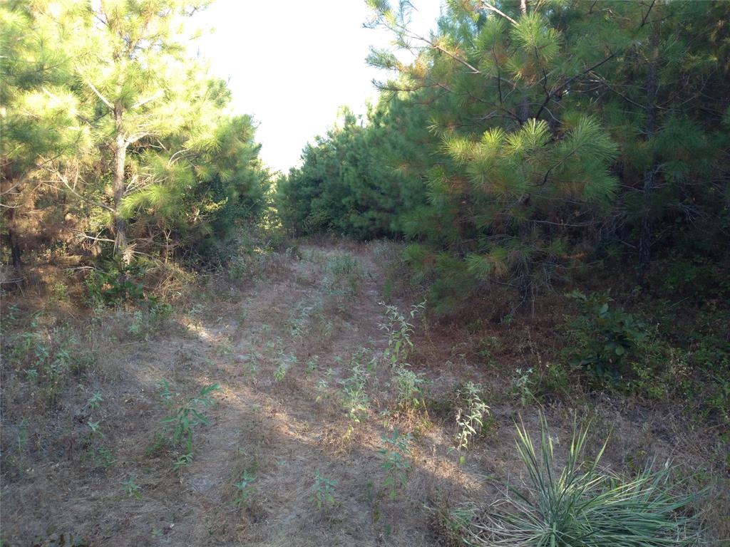 Wide trails throughout the property