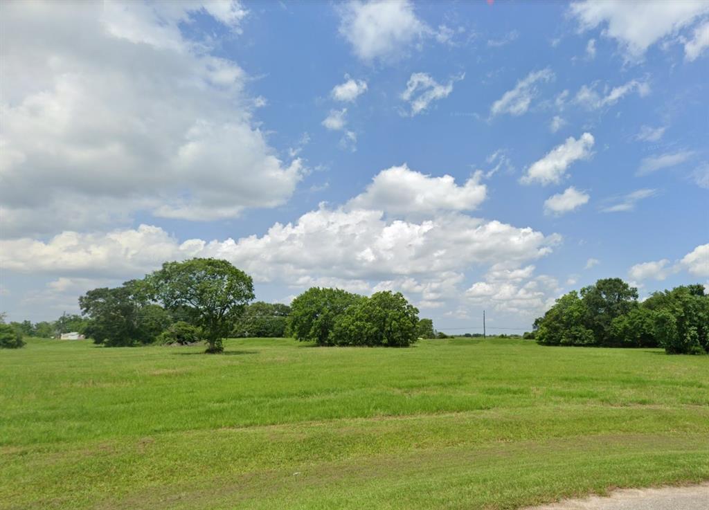 17927  Shiloh Ridge Drive Rosharon Texas 77583, 5
