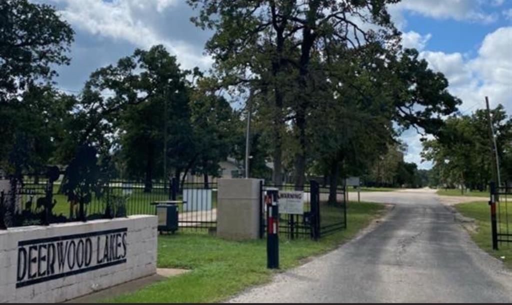 Lot 179  Chamelleon Lane Hempstead Texas 77445, 26