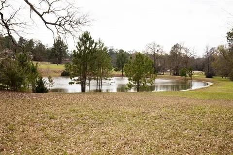 135 N Forest Drive , Huntsville, Texas image 1