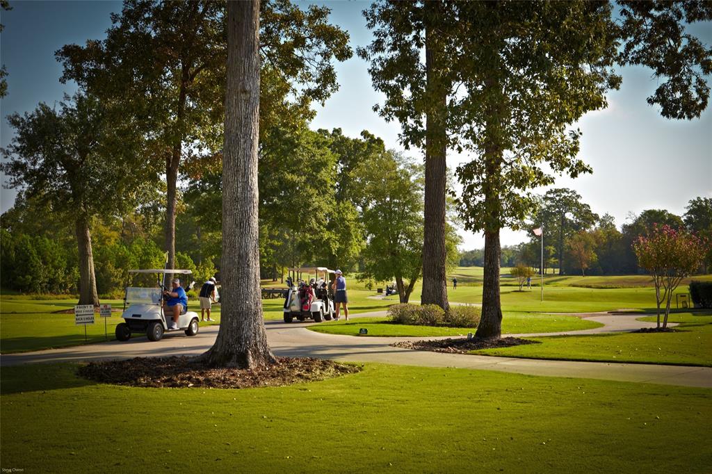 Nestled among the trees you\'ll find recreational opportunities for every age and stage, from gently bubbling frogs to enchant toddlers at the community spray park to pristine fairways and greens beckoning golfers to a day at acclaimed Woodforest Golf Club.