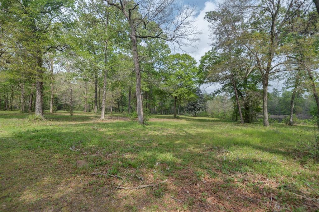 TBD Firetower Road , New Caney, Texas image 5