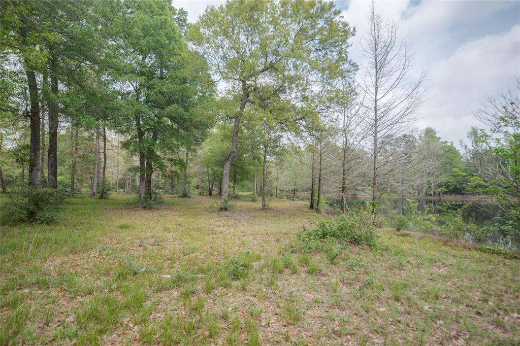 TBD Firetower Road , New Caney, Texas image 7