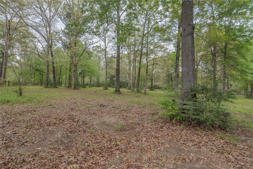 TBD Firetower Road , New Caney, Texas image 9