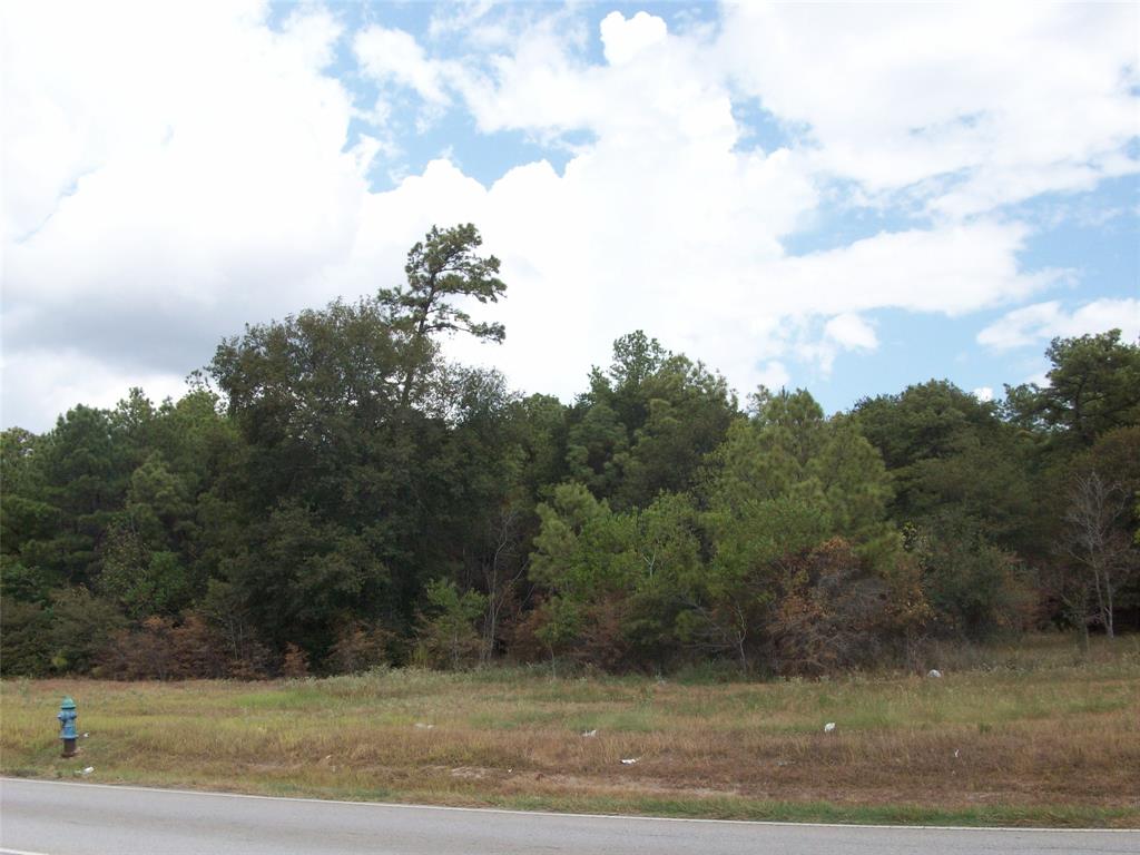 00000  Kodiak Drive Angleton Texas 77515, 5