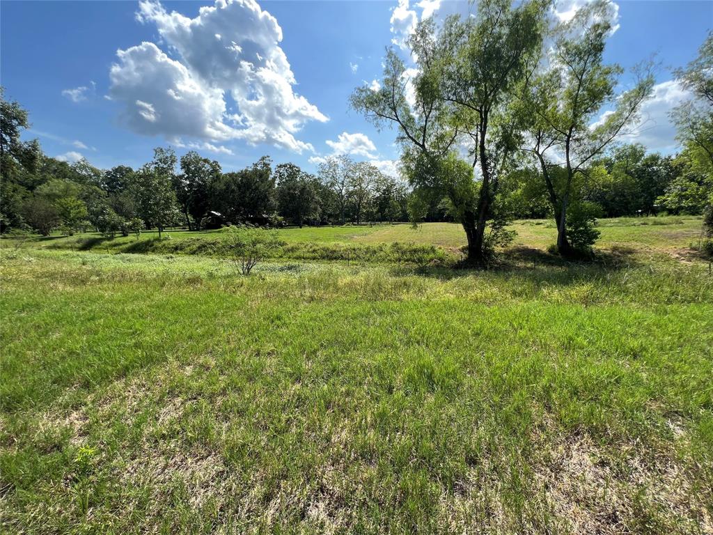 0  County Road 39  Rosharon Texas 77583, 5