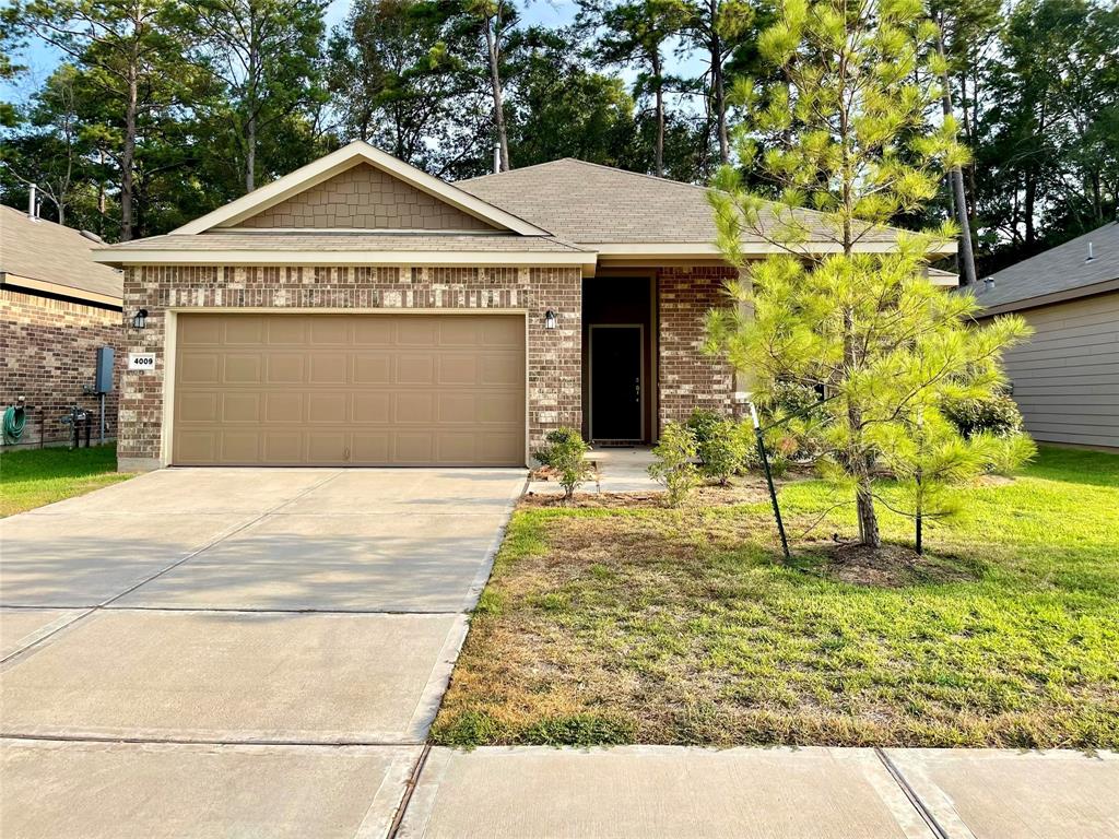4009  Timber Sapp Dr  Conroe Texas 77304, 39