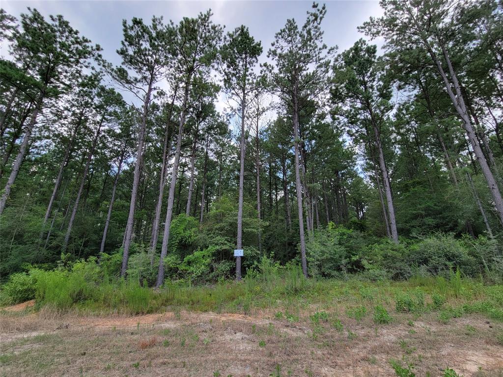15865 Four Hills Road Willis Texas 77378, Willis 15865 Four Hills Road Willis Texas 77378, Willis