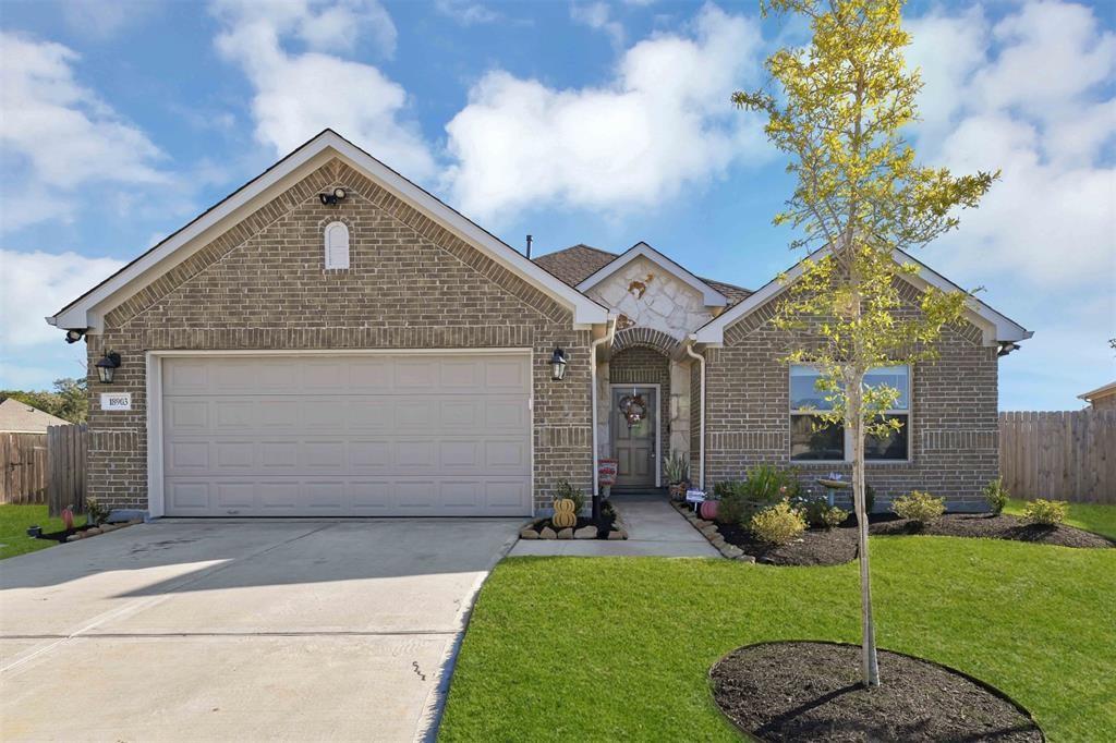 18903  Cedar Moss Court New Caney Texas 77357, New Caney