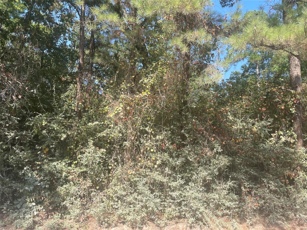 00  Hickory Lane Huntsville Texas 77340, 43