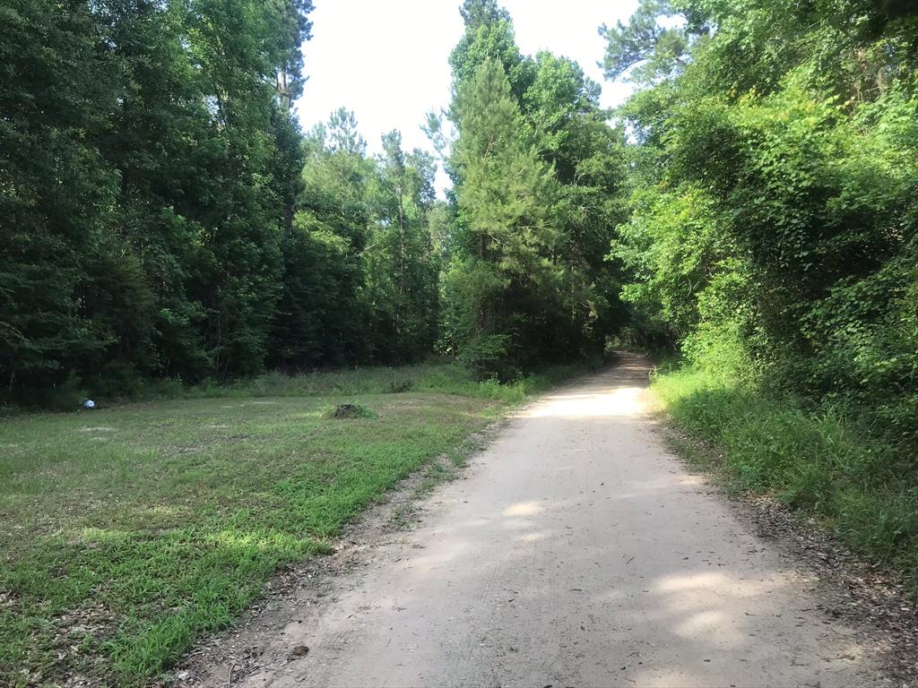 Enjoy a spacious 13.8 acres northeast of Houston near the Sam Houston National Forest! Just a short drive from Lake Livingston and the national forest - it's an outdoors person's paradise! This wooded property is ready for someone to make it their own - includes large natural pine trees and hardwoods, electricity, public water, road frontage and a small pond! This property provides both the beauty of the east Texas piney woods and the privacy many desire. Short drive to Huntsville, Willis, Conroe, the Woodlands and Houston. Smell the fresh air and make this piece of the Texas countryside your own! **Only surface rights convey*