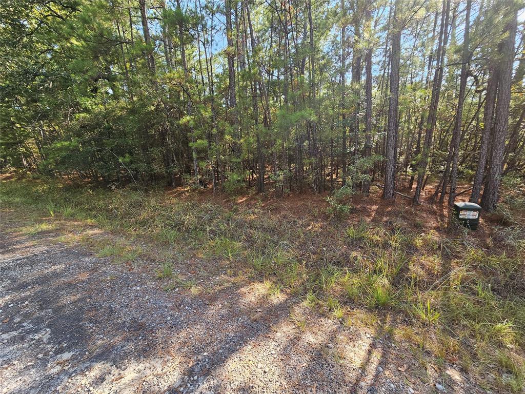 Nice wooded lots with power, water and sewer available.