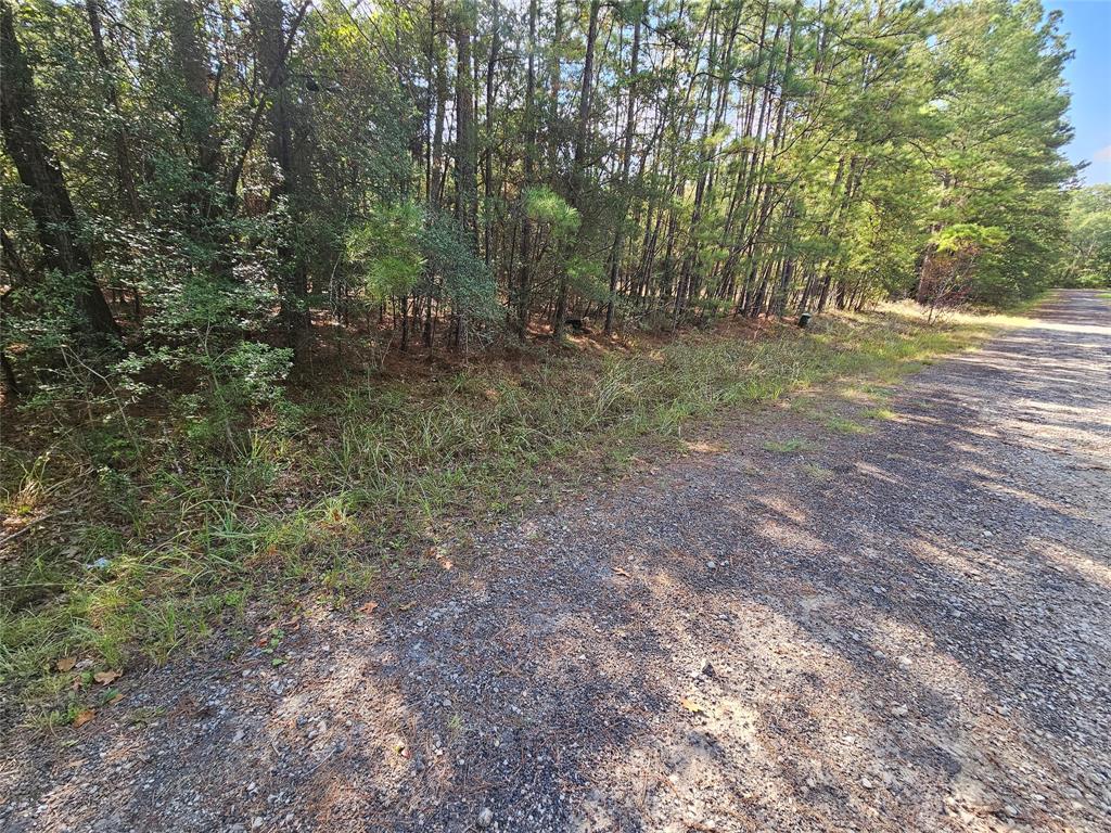 This large lot approximately 85\' x 135\' has plenty of room for a house and a nice yard.