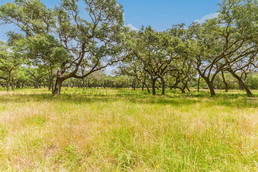 1434  CR 106 Road Columbus Texas 78934, 56