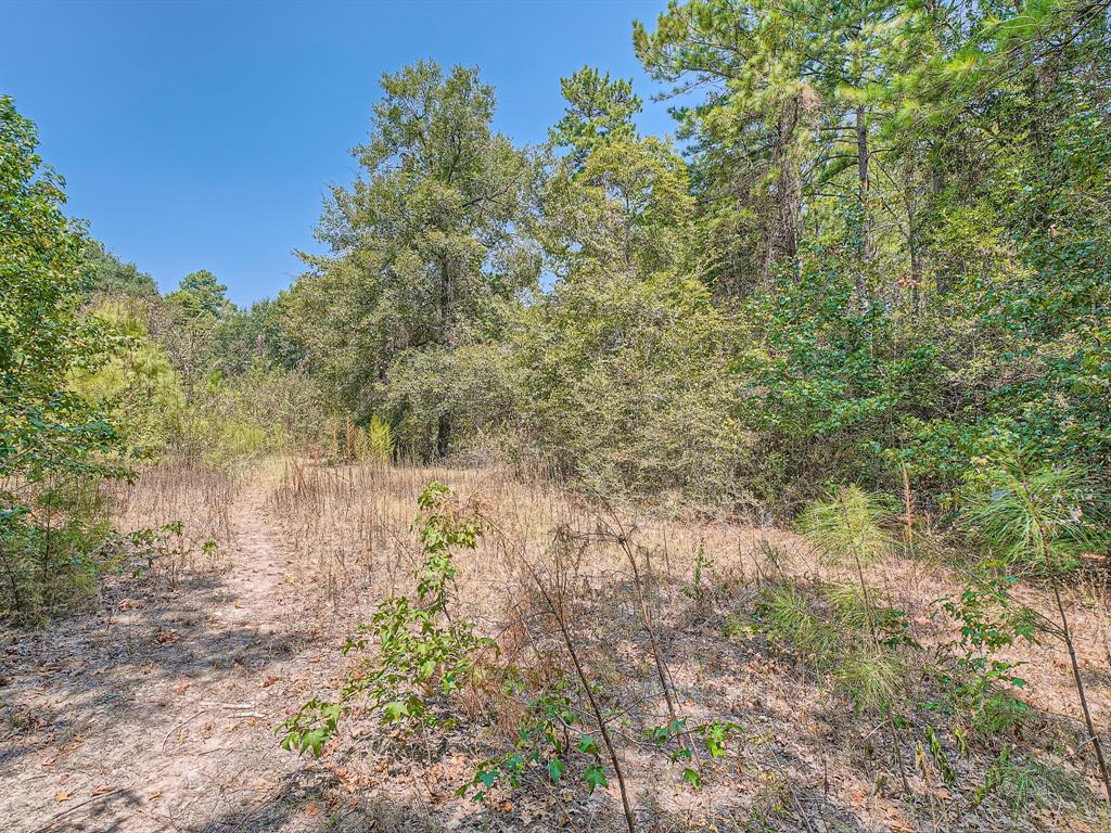 2 Acres ready for a new construction of single-family residence or mobile home. Existing water and electricity. Septic System!