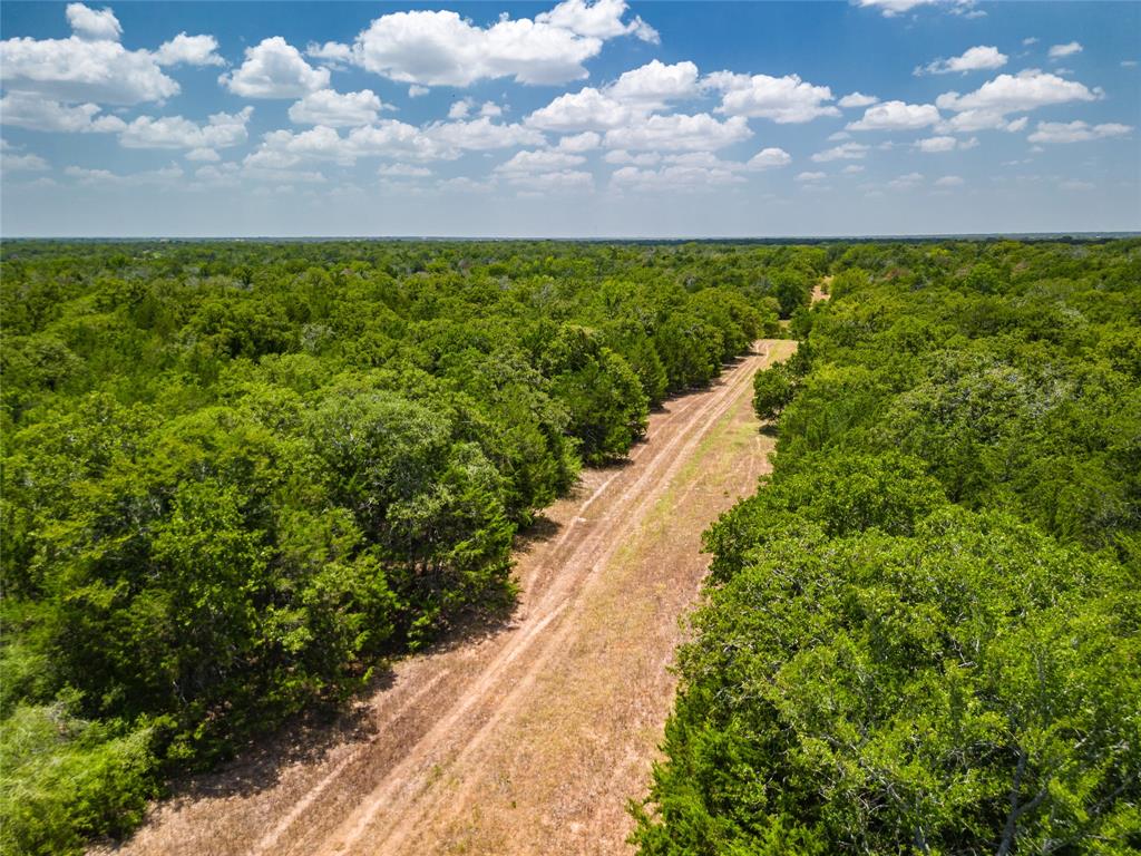 County Road 132  , Somerville, Texas image 12