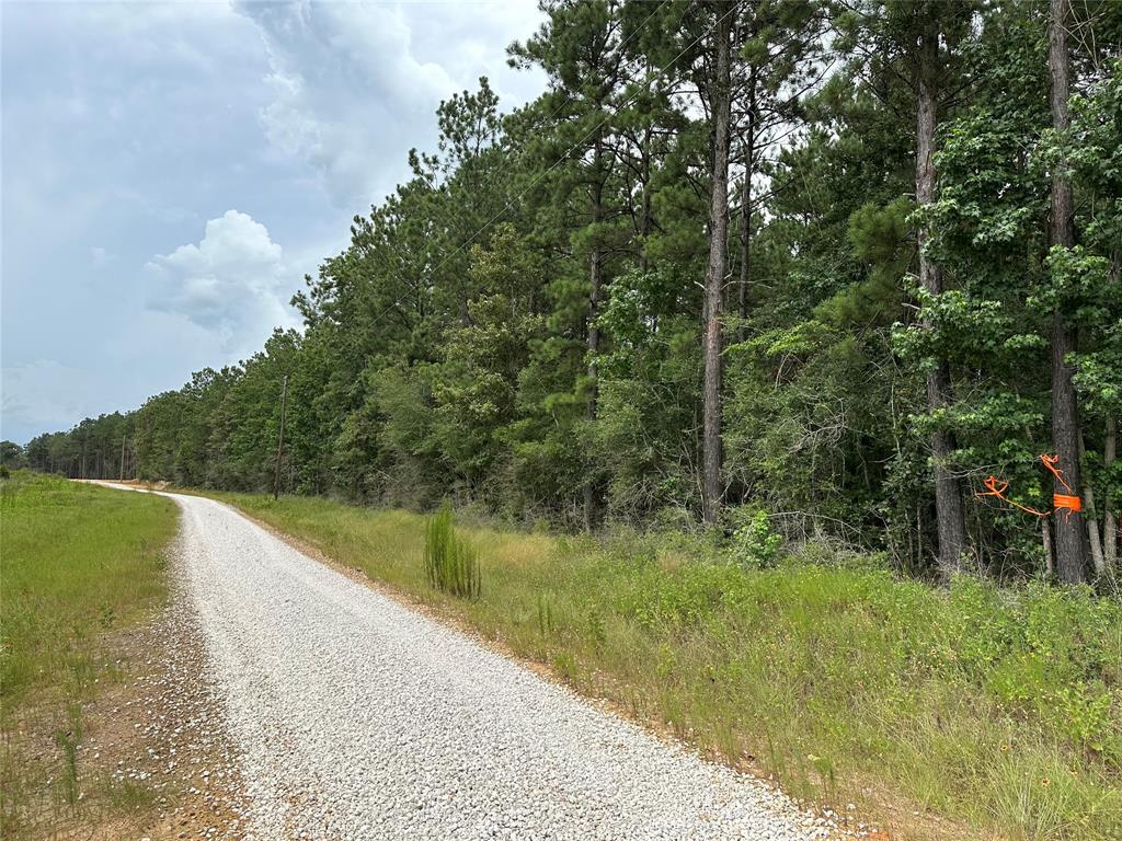 TBD  Isaac Lane Livingston Texas 77351, 44