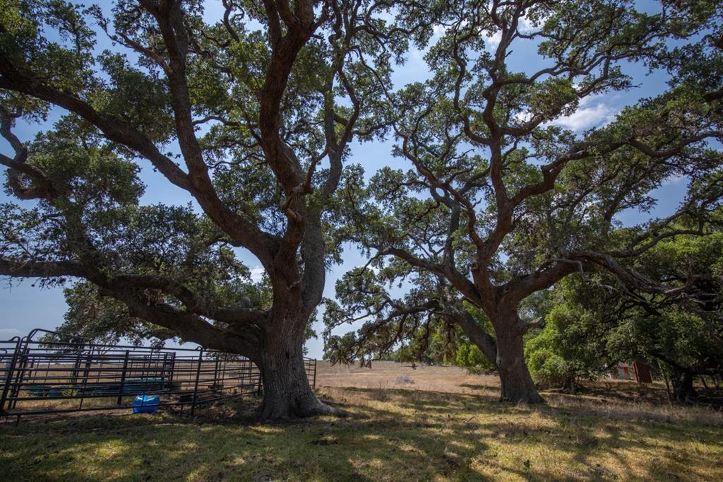 A beautiful 22-acres ready for the next owner to build a permanent residence or weekend getaway home. The rolling pasture gives way to giant Live Oaks on the north side of the property. A water well and electricity are in place, you just need to pick your build site- top of the hill, or nestled under the Oaks. End of the road privacy with easy access off CR 21. The property is 90% open improved pasture with a few smaller trees, however, along the north boundary there are numerous giant Live Oaks. This portion of the property provides cover and shade for wildlife and livestock. You could build a home on top of the hill and have long-range views or nestle it back against the Live Oaks. Vertical improvement includes a 12x24 storage shed with a window unit AC, a 15x15 metal carport, and a small pump house for the water well. The well is approximately 160’ deep and can produce up to 14 GPM. Electricity is provided by Fayette Electric Co-op.