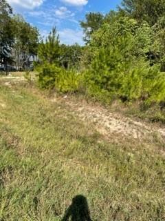 Front easement of the property