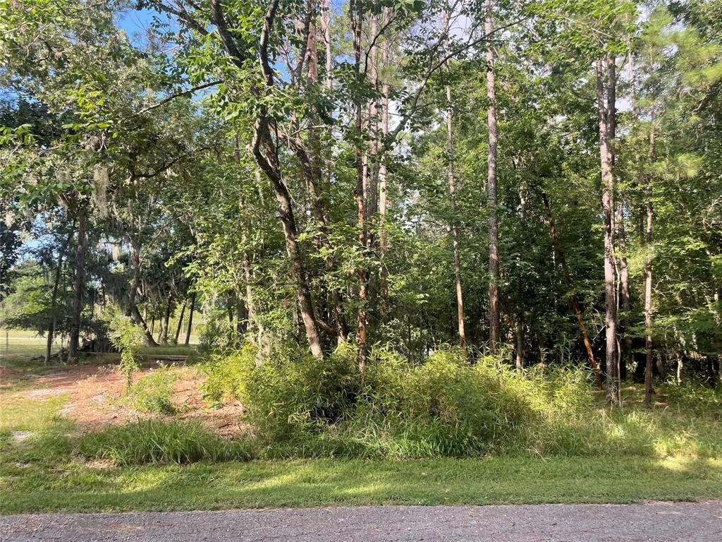 11  Crown Drive Coldspring Texas 77331, 64