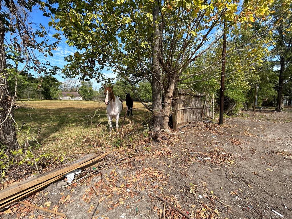 0  Green River Drive Houston Texas 77028, Houston