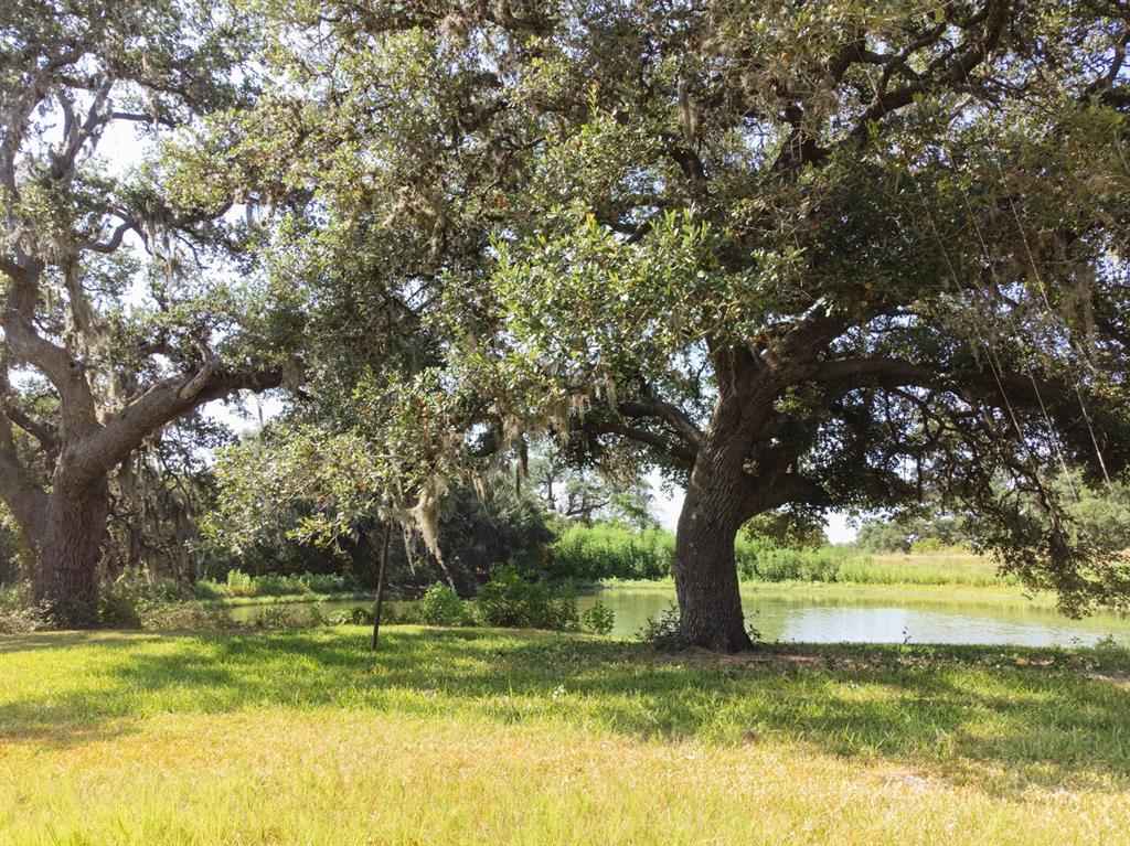 This serene property just under 130 acres is ready for you to build your dream home, allowing you to wake up to the breathtaking beauty of nature and its abundant wildlife. Immerse yourself in the tranquility of the surroundings as you cast a line into one of the two large stocked ponds, perfect for fishing enthusiasts. The mature trees scattered throughout the property, including Live Oaks and Pecan trees, add to its natural charm. In addition to the stunning natural features, this property is equipped with septic, water, and electricity connections for your convenience. Conveniently situated with road frontage along a county road and an entrance from an FM road, accessibility is not an issue. Whether you're looking for a peaceful getaway, recreational property, or a place to establish your own ranch, this property offers endless possibilities. Don't miss out on the opportunity to own this remarkable piece of property and experience the tranquility and natural beauty that awaits you.