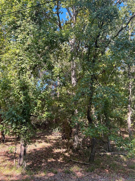 1.5+ acre tract