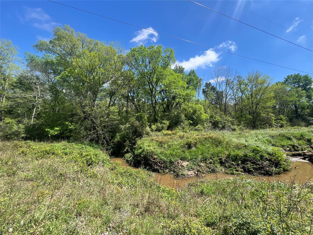 761 & 768 Meadow Bend Road , Bellville, Texas image 8