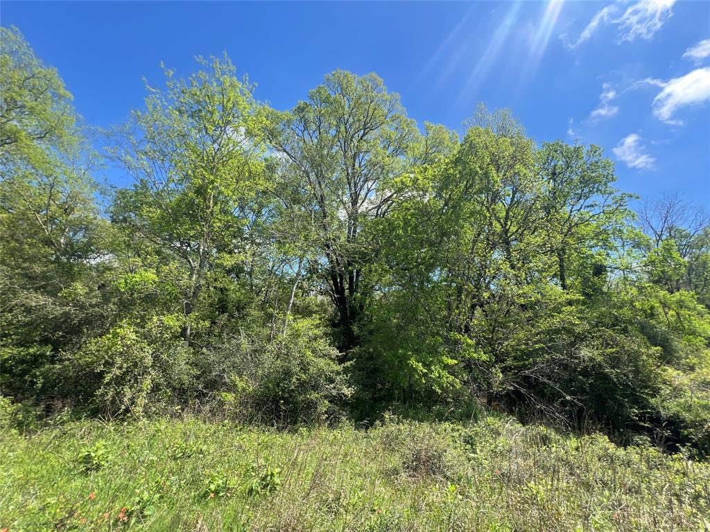 761 & 768 Meadow Bend Road , Bellville, Texas image 9