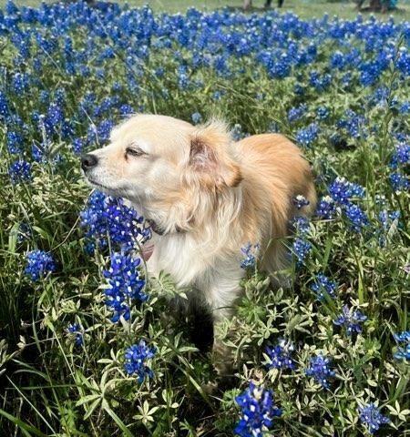 stop and smell the flowers