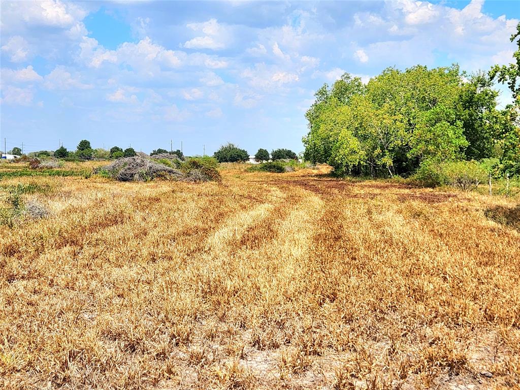 00 County Rd 324, Danevang, TX 77437