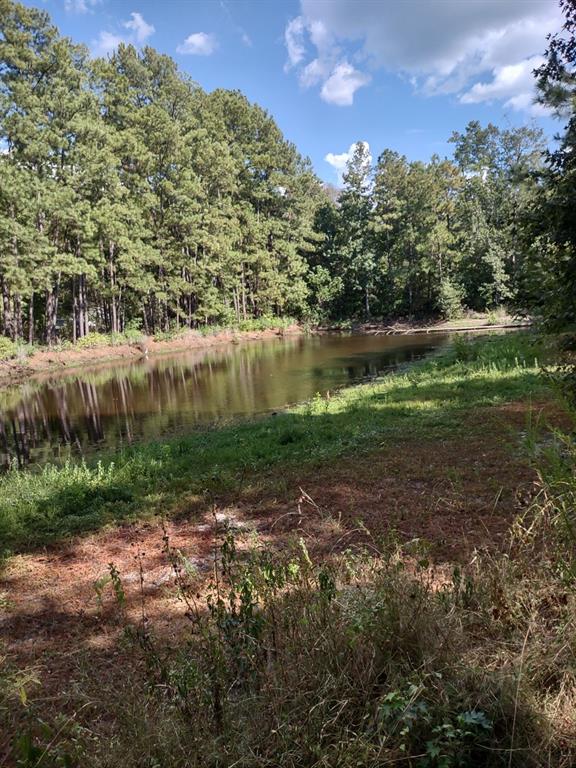 494  Bird Road Livingston Texas 77351, 44