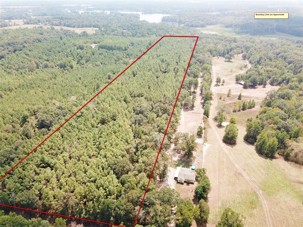 This ideal property offers 18.91 acres and is located in NE Nacogdoches County. The property has frontage along asphalt CR 136, and is only a few minutes from Lake Naconiche Park, offering quick and easy access to the lake. The property consists of predominately pine plantation timber, and is entirely forested offering manageable timber, or the ideal setting to build your dream home with privacy and seclusion.

The property is situated in Garrison ISD.