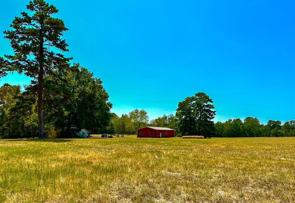 T-1
Welcome to the Piney Woods Ranch!
This beautiful rural escape has a large metal barn w/concrete floor, rustic farmhouse, RV hookups, improved pasture, and established Pine plantation making it attractive for ranching, recreation, or investment.
It has a large pond, managed Pine timber, a live creek, and easy access within 1.5 hours of Houston/2.5 hrs. of Dallas. This quiet natural setting in the beautiful hills of Houston County would make an ideal ranch, weekend getaway, or recreational retreat. County road frontage with abundant wildlife and trails throughout. Public water and electricity at the property. All minerals currently owned by the seller to be conveyed.
Near the Davy Crockett National Forest and Crockett, Texas, only minutes to Lake Palestine or I-45.
Do not miss this opportunity – make an appointment today!