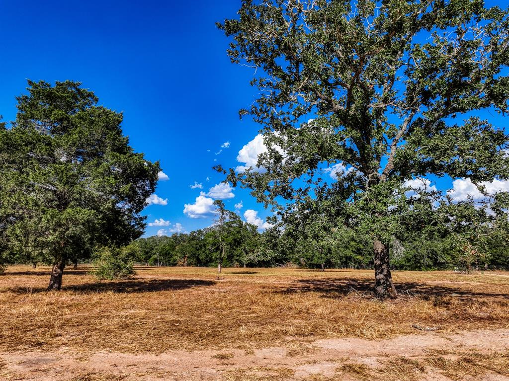 120 Feder Way  , West Point, Texas image 9