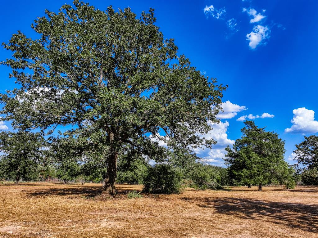 155 Feder Way  , West Point, Texas image 8