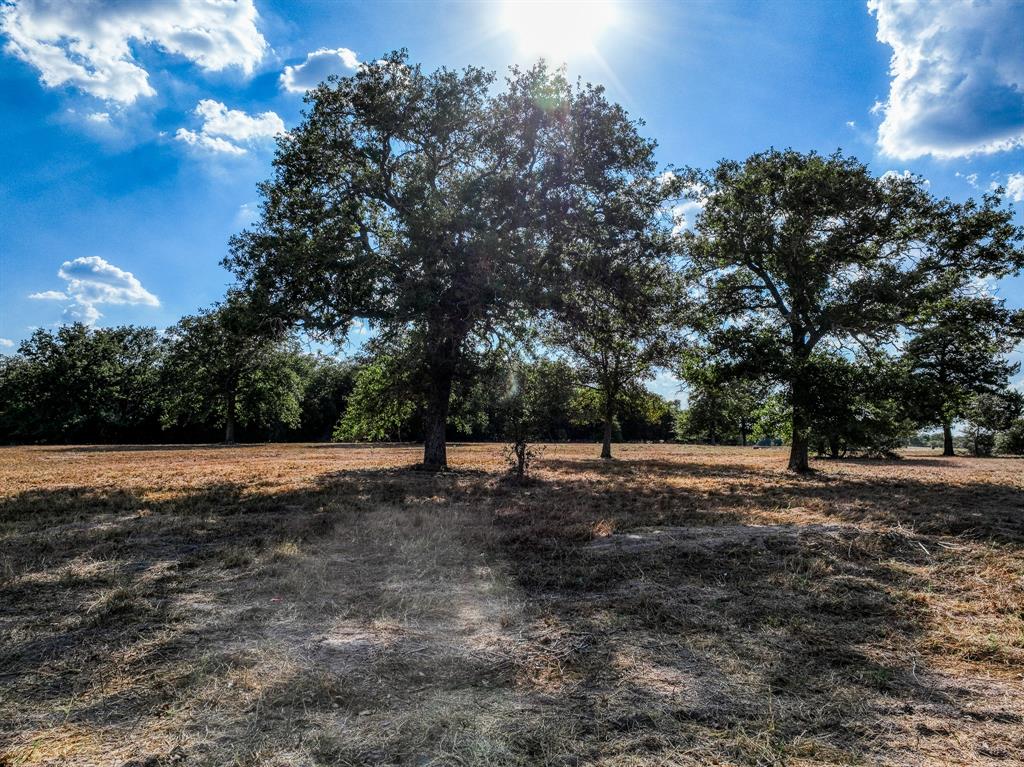 155 Feder Way  , West Point, Texas image 9