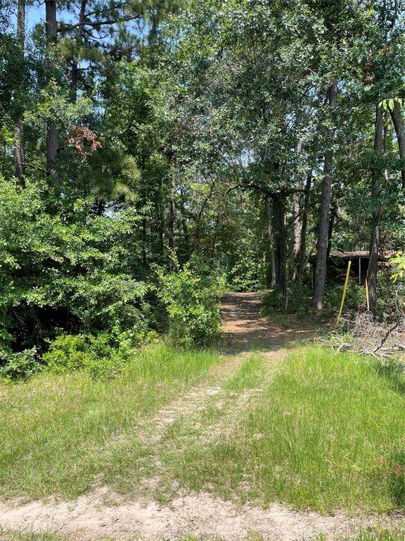 000  Pin Oak  Livingston Texas 77351, 44