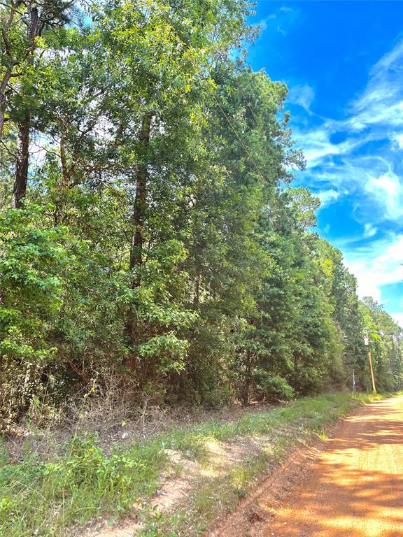 This property offers approx 14.99 acres of unrestricted country living and just minutes from downtown Willis Tx. Consisting of 20+ year old timber throughout the property. Boggy creek flows from north to the south on the west side of tract. Opportunity awaits for a new build or small cabin, offering an escape from the everyday hustling and bustle of the City. Allow your imagination to run and bring your ideas to life!
